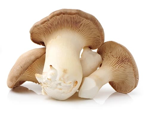 King oyster mushrooms